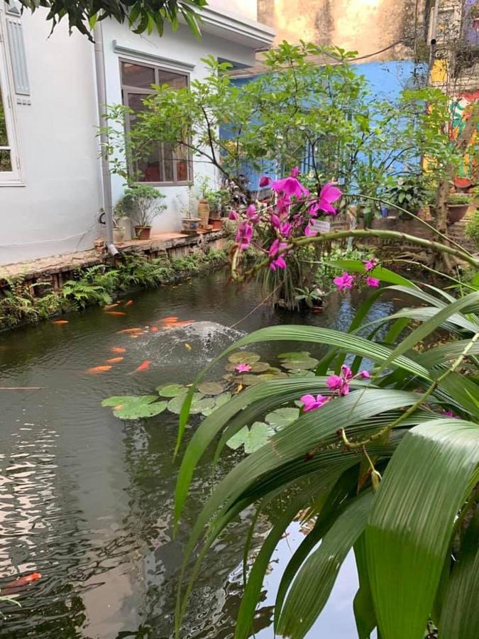 Chez Madame Binh Bed & Breakfast Hanoi Exterior photo